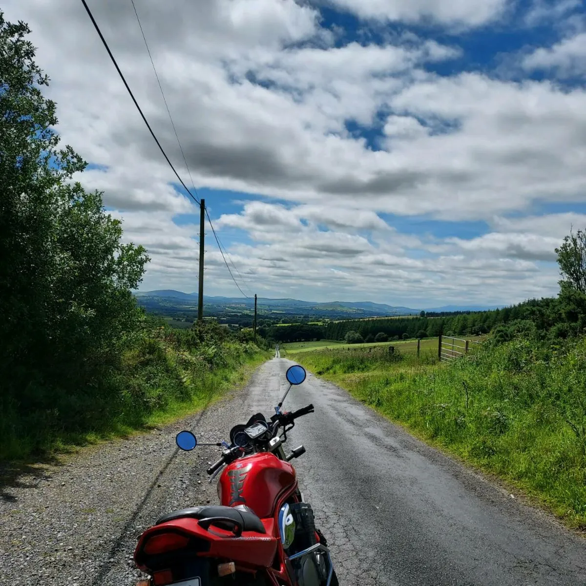 Suzuki Bandit GSF 600 - Image 2