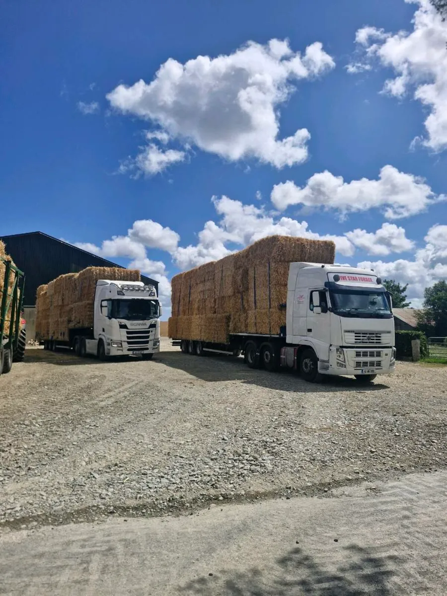 Barley Straw - Image 2