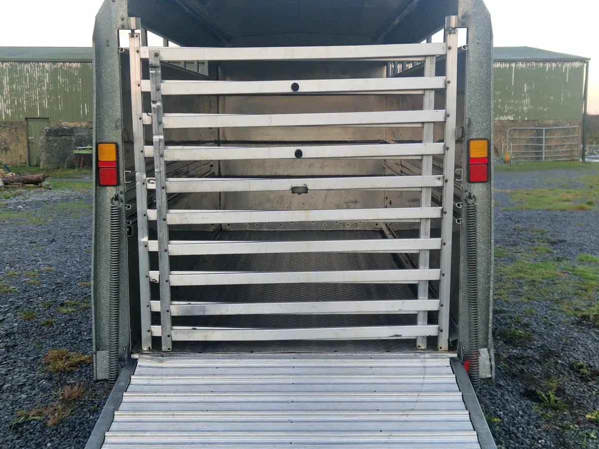 12X5 Ifor Williams cattle trailer - Image 2