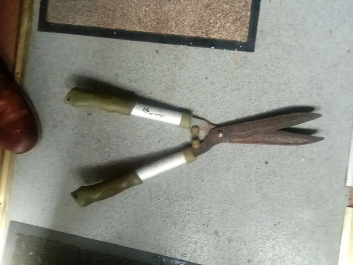 HAND.  HELD. HEDGE.  CLIPPERS - Image 2