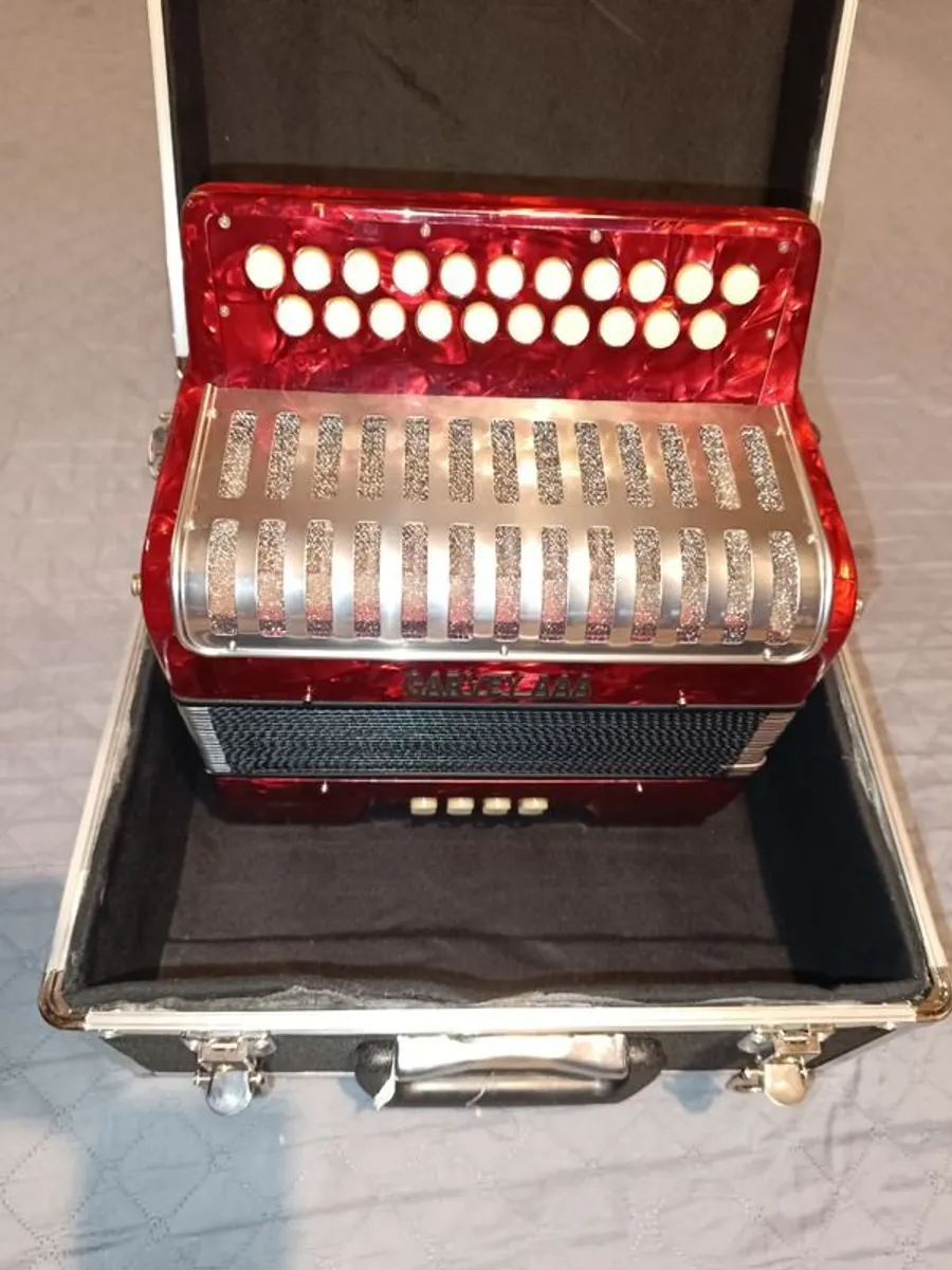Accordion - Image 4