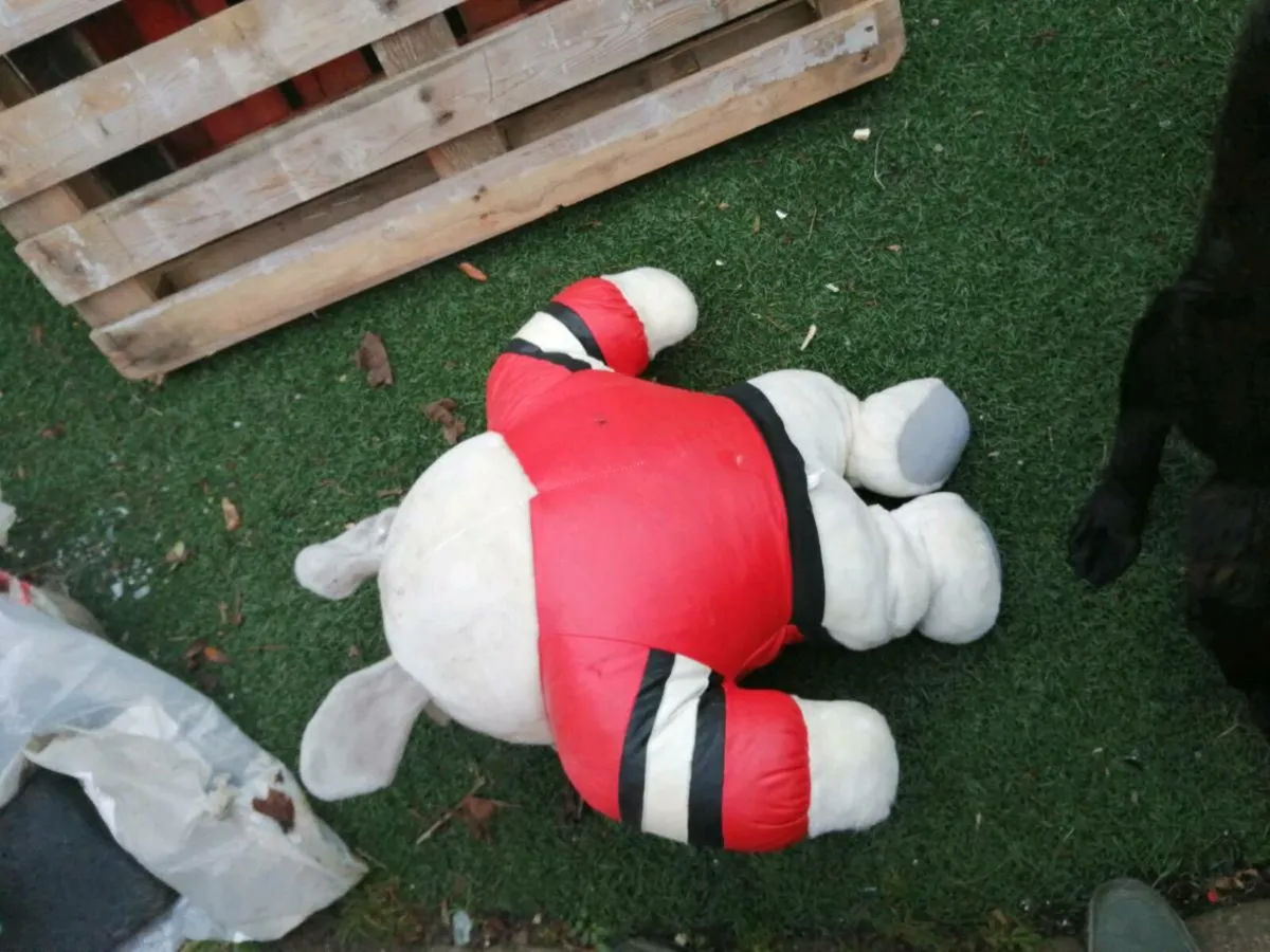 British bulldog teddy - Image 1