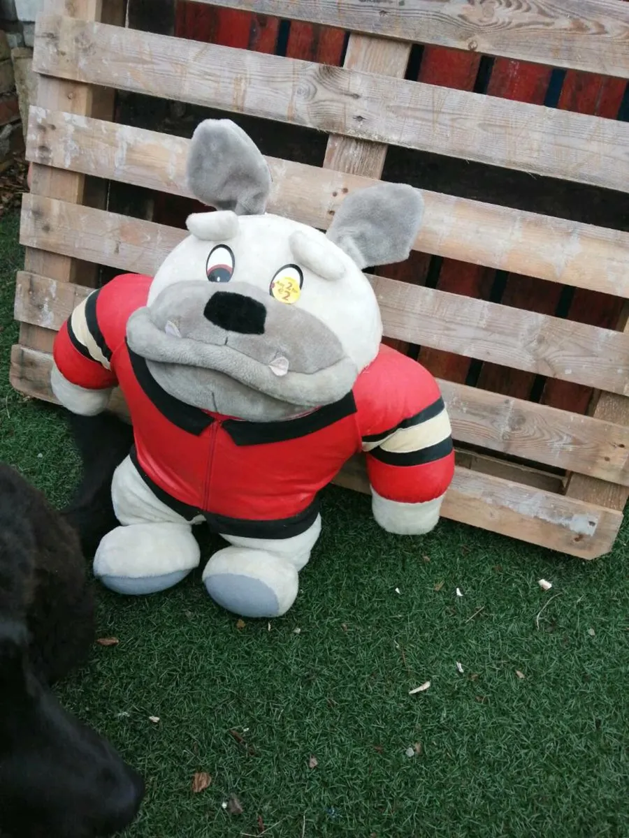 British bulldog teddy - Image 2