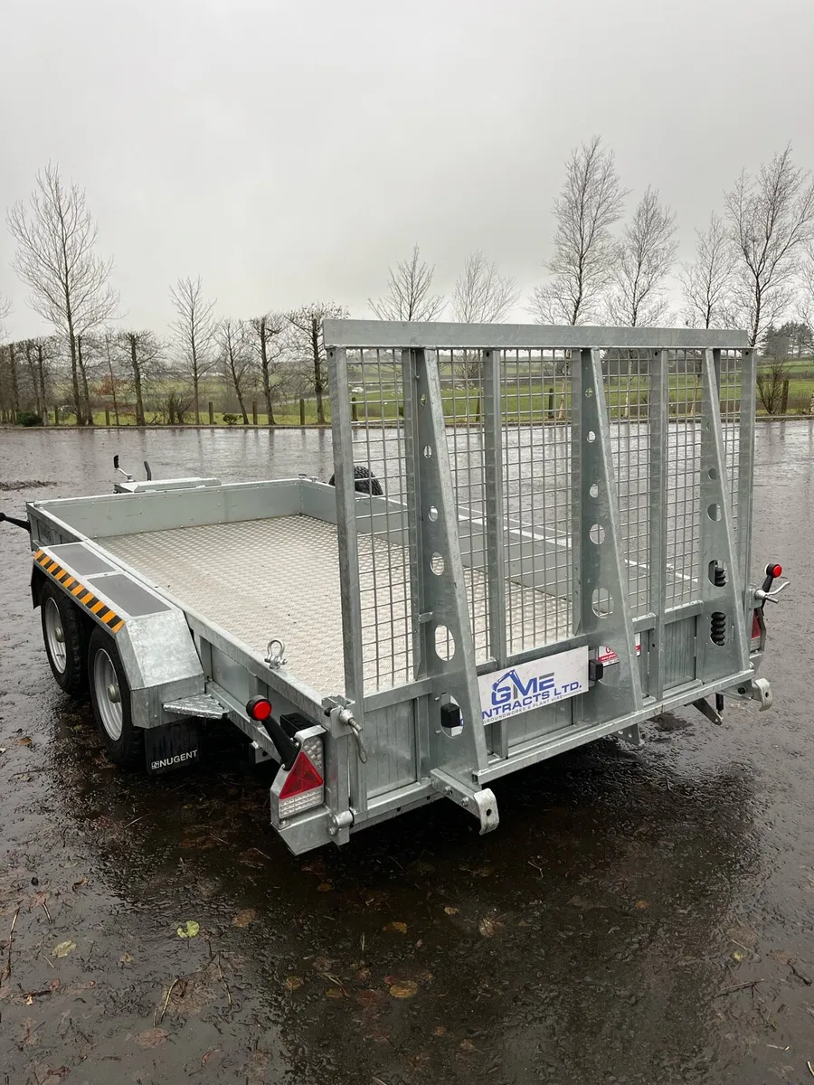 Nugent 12x6 plant trailer - Image 3