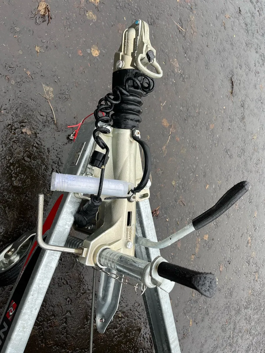 Nugent 12x6 plant trailer - Image 4