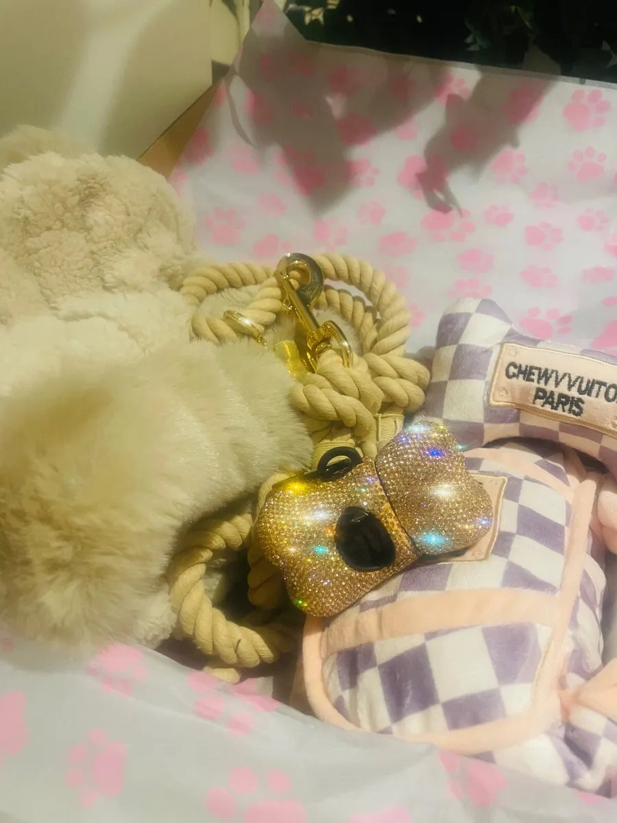 Luxury Dog Walker Gift Set | New & Boxed - Image 1