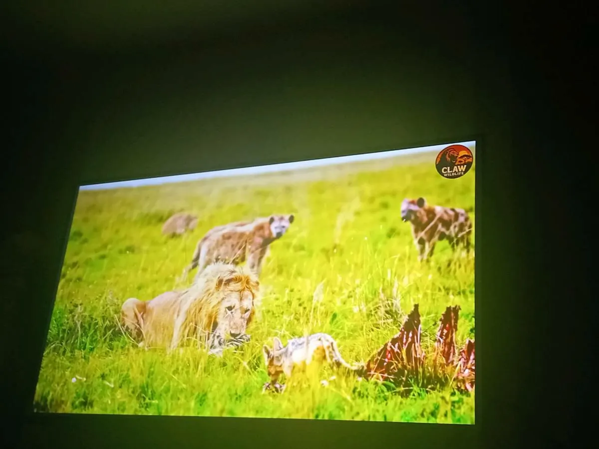 46 inch Smart Tv - Image 1