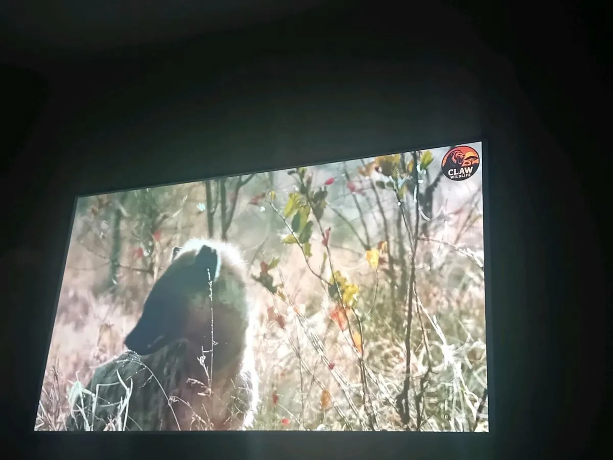 46 inch Smart Tv - Image 2