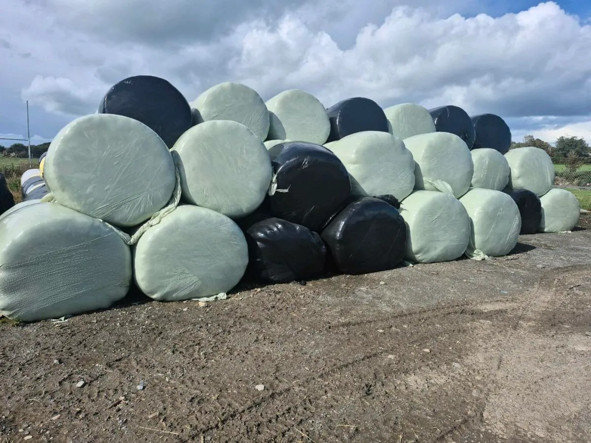 Silage for sale - Image 1