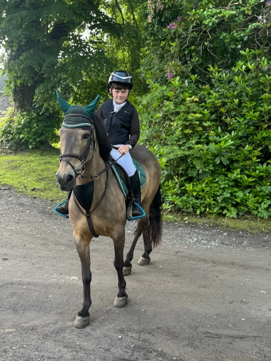 128 Dun pony super kids pony - Image 1