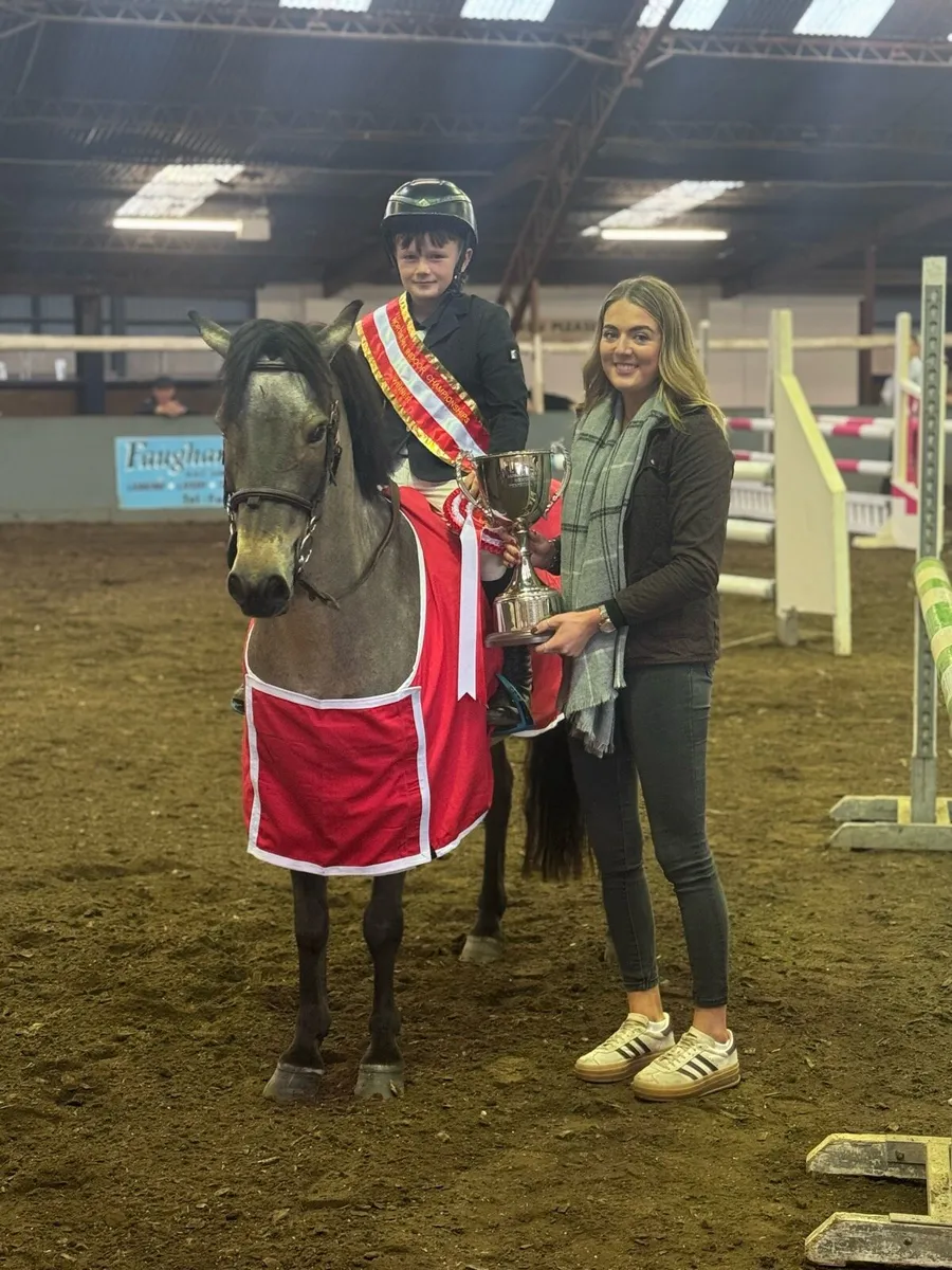 128 Dun pony super kids pony - Image 2