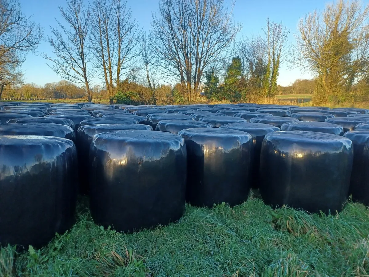 Silage Bales - Image 1