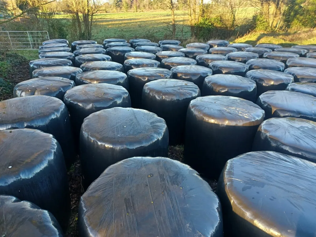 Silage Bales - Image 3