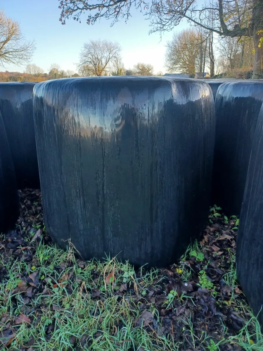 Silage Bales - Image 4