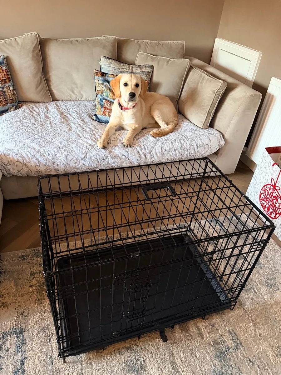 Dog Crate - Image 3