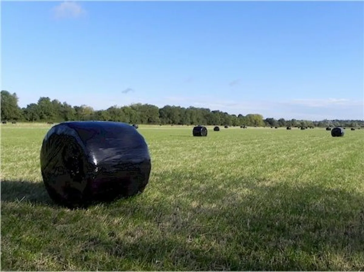 Silage Bales