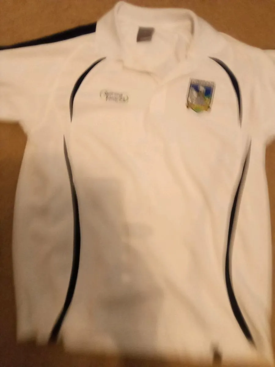 LIMERICK.  G.A.A.   TOP.  SIZE. XL - Image 2