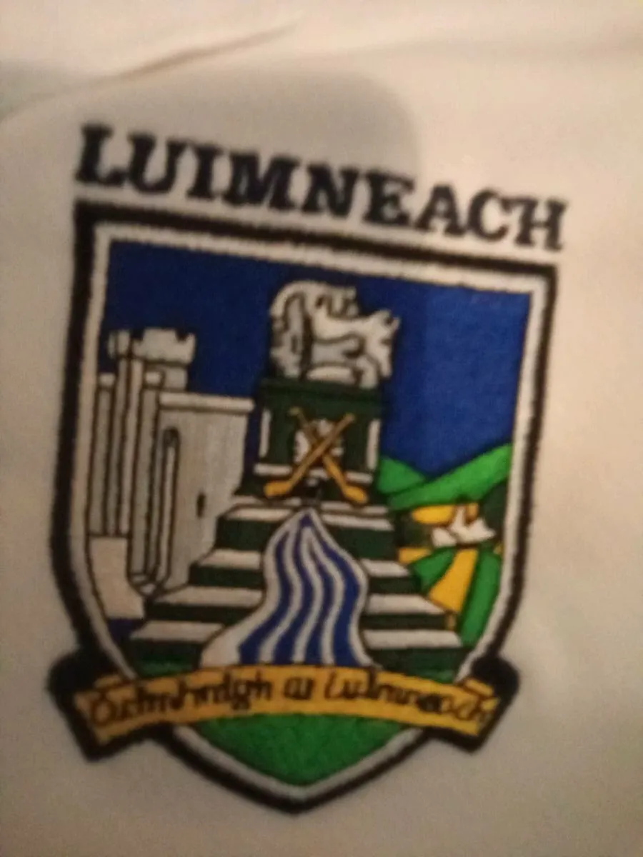 LIMERICK.  G.A.A.   TOP.  SIZE. XL - Image 3