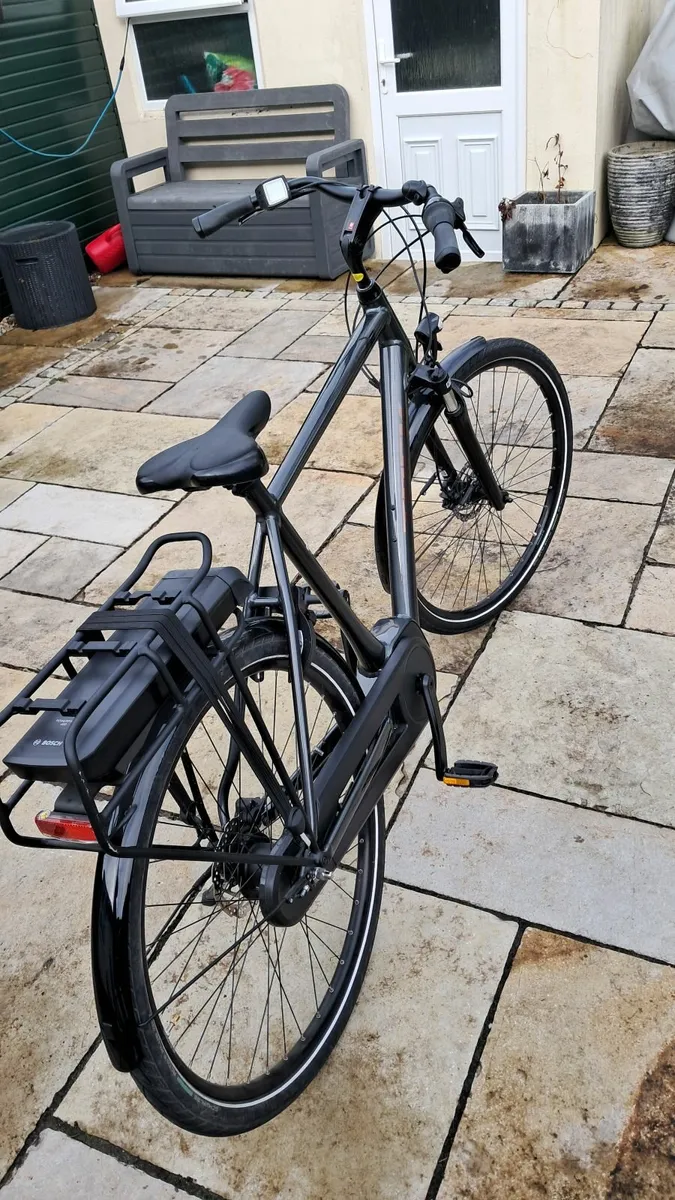 Electric Bike - Image 3