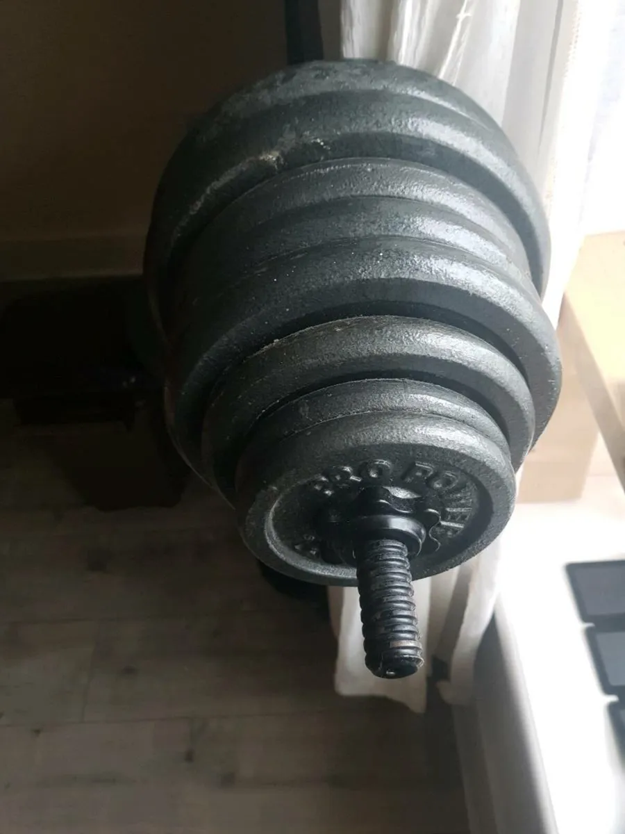 Weight and bench - Image 3
