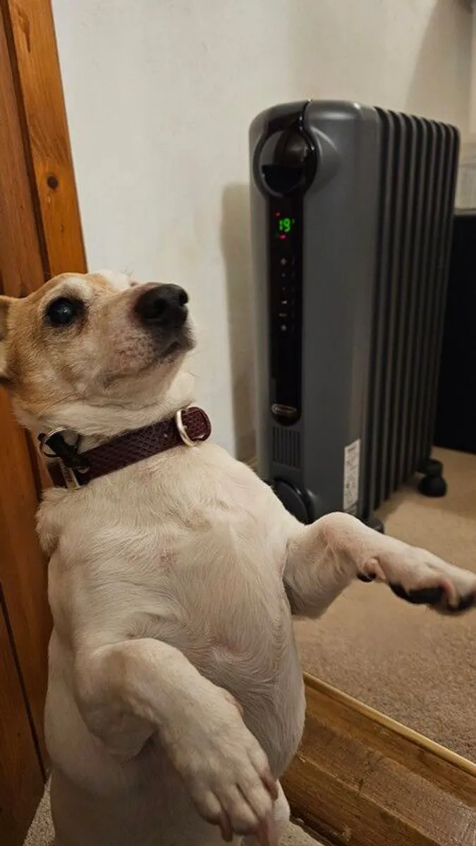 Electric Heater - Image 1