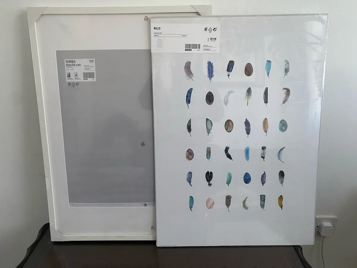 Modern Picture with Frame (Feather Design)