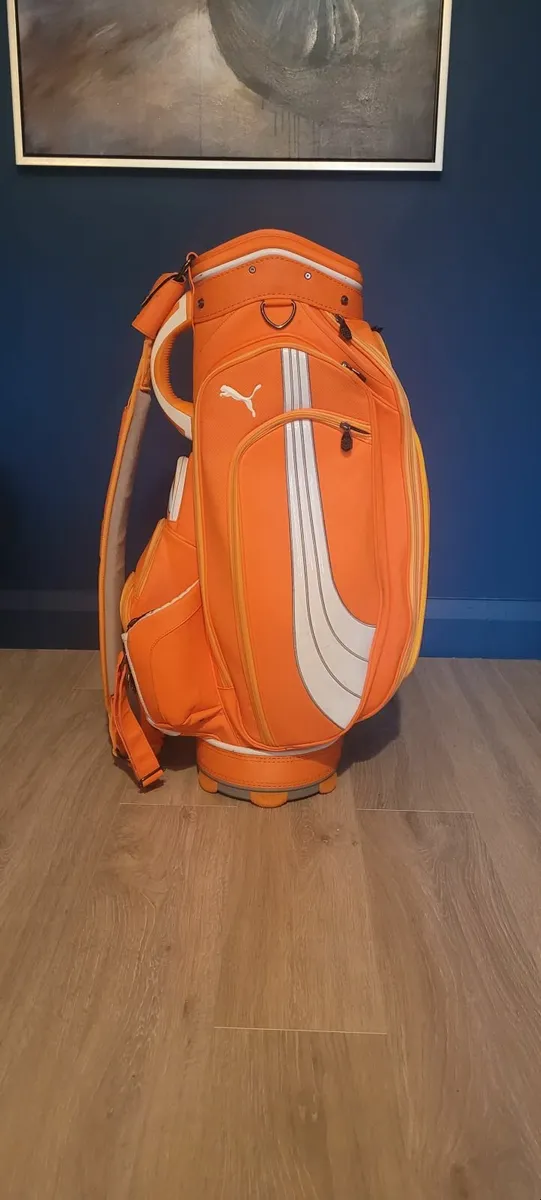 Golf cart bag - Image 1