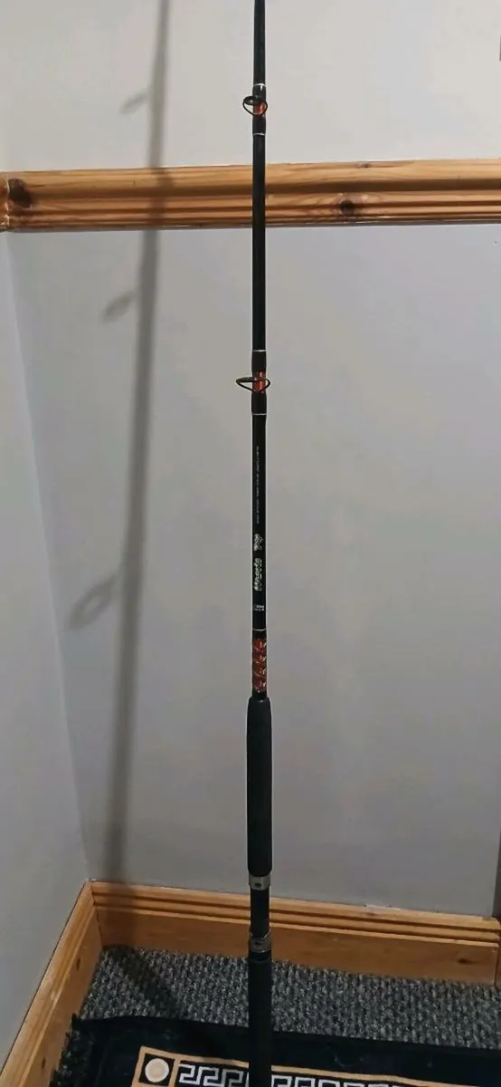 Abu muscle tip boat rod - Image 1