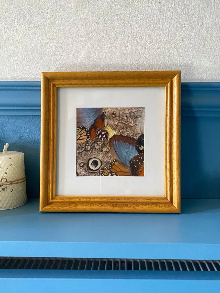 Vintage Handcrafted Butterfly Wing Art Framed - Image 1