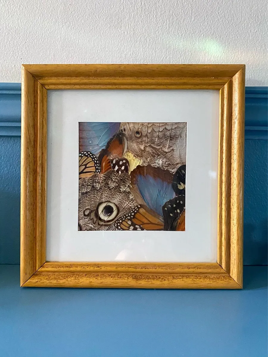 Vintage Handcrafted Butterfly Wing Art Framed - Image 2
