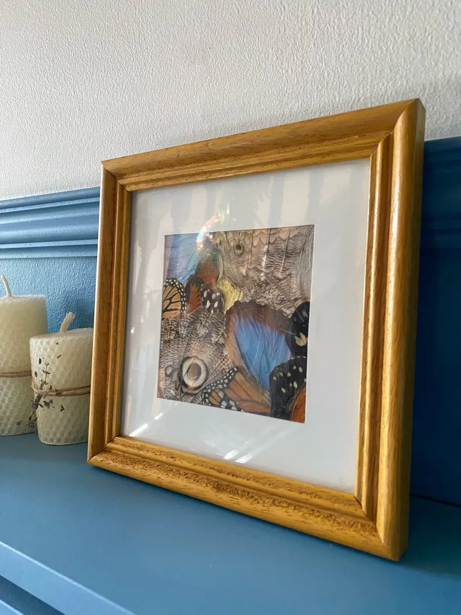 Vintage Handcrafted Butterfly Wing Art Framed - Image 3