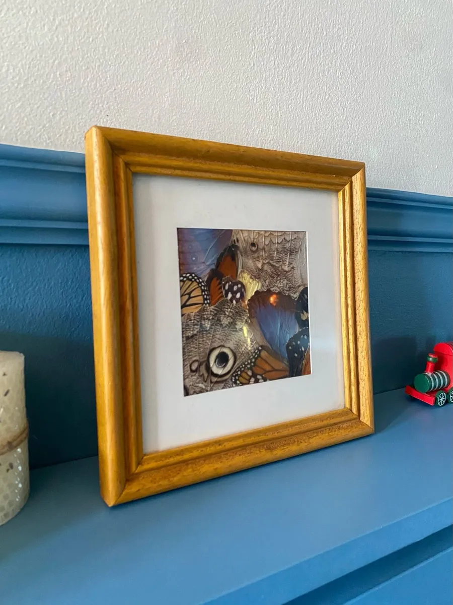 Vintage Handcrafted Butterfly Wing Art Framed - Image 4