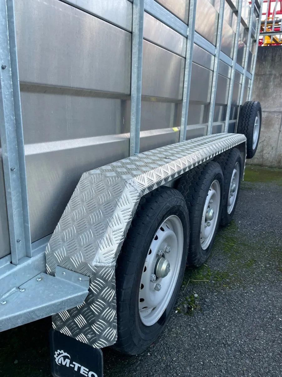 14ft MTEC Livestock Trailer - Image 4