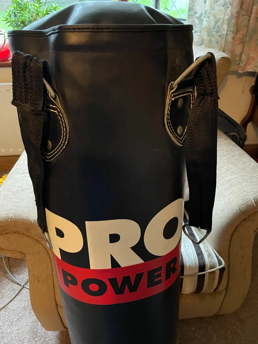 Punch Bag - Image 2