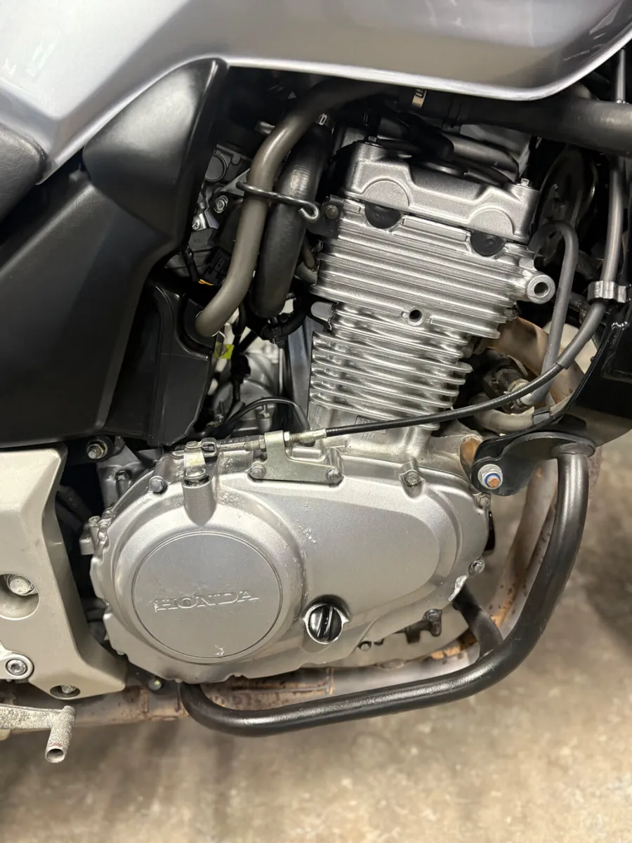 2005 Honda CBF500 - Image 4