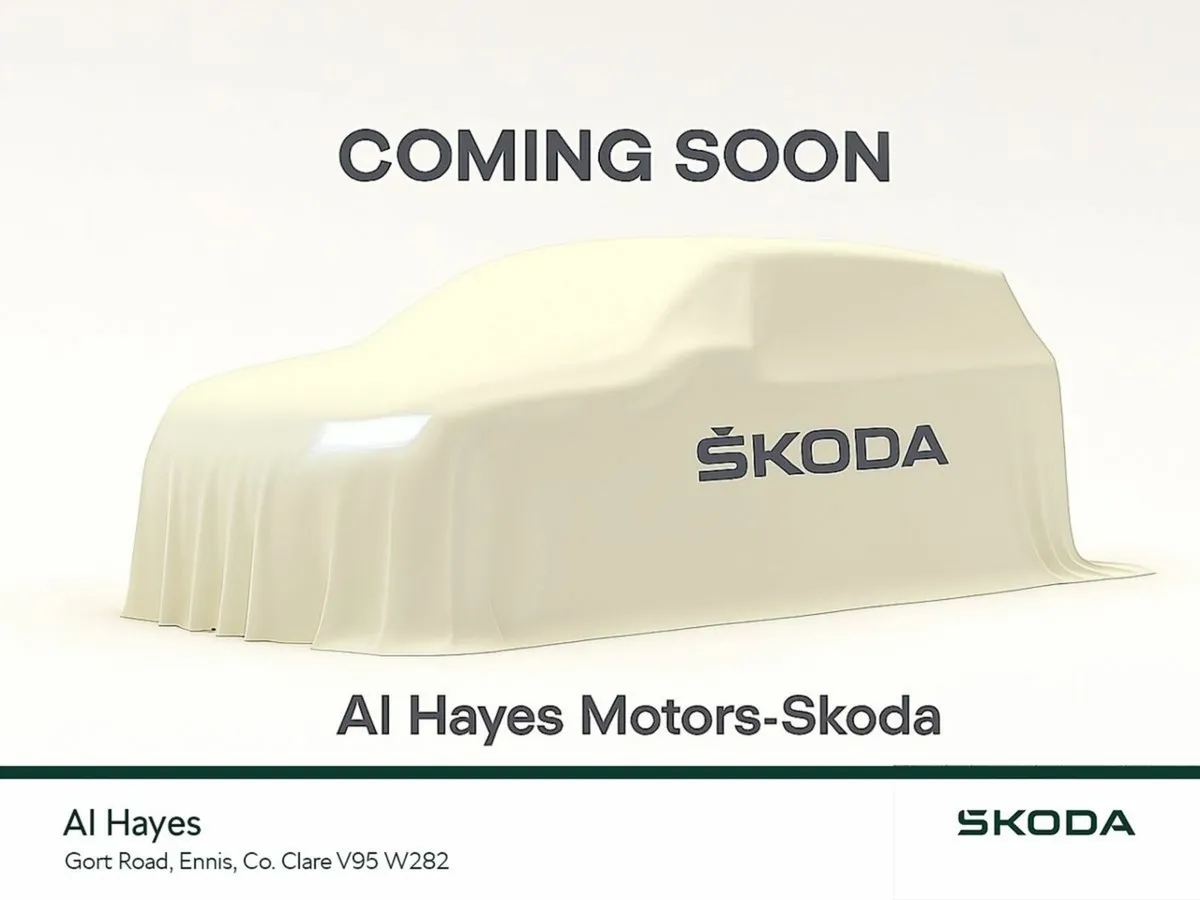 Skoda Octavia RS 2.0TDI 184HP - Image 1