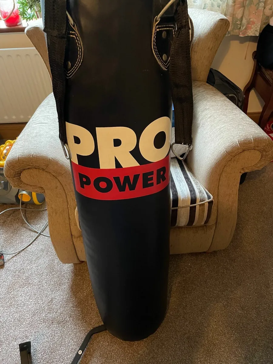 Punch Bag - Image 1