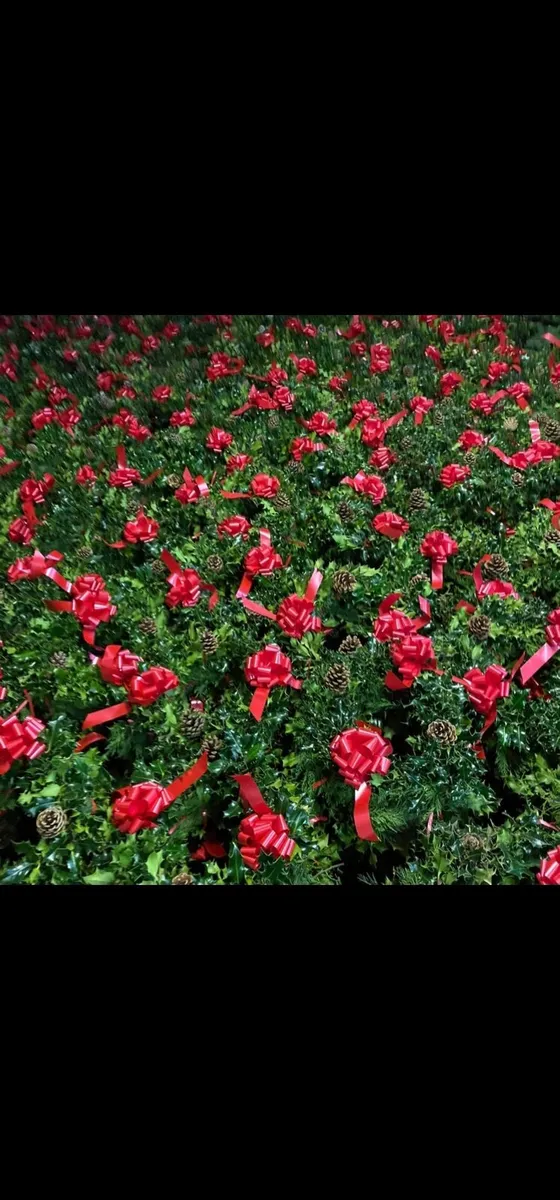 Holly Xmas Wreaths Nobles Wreaths - Image 1