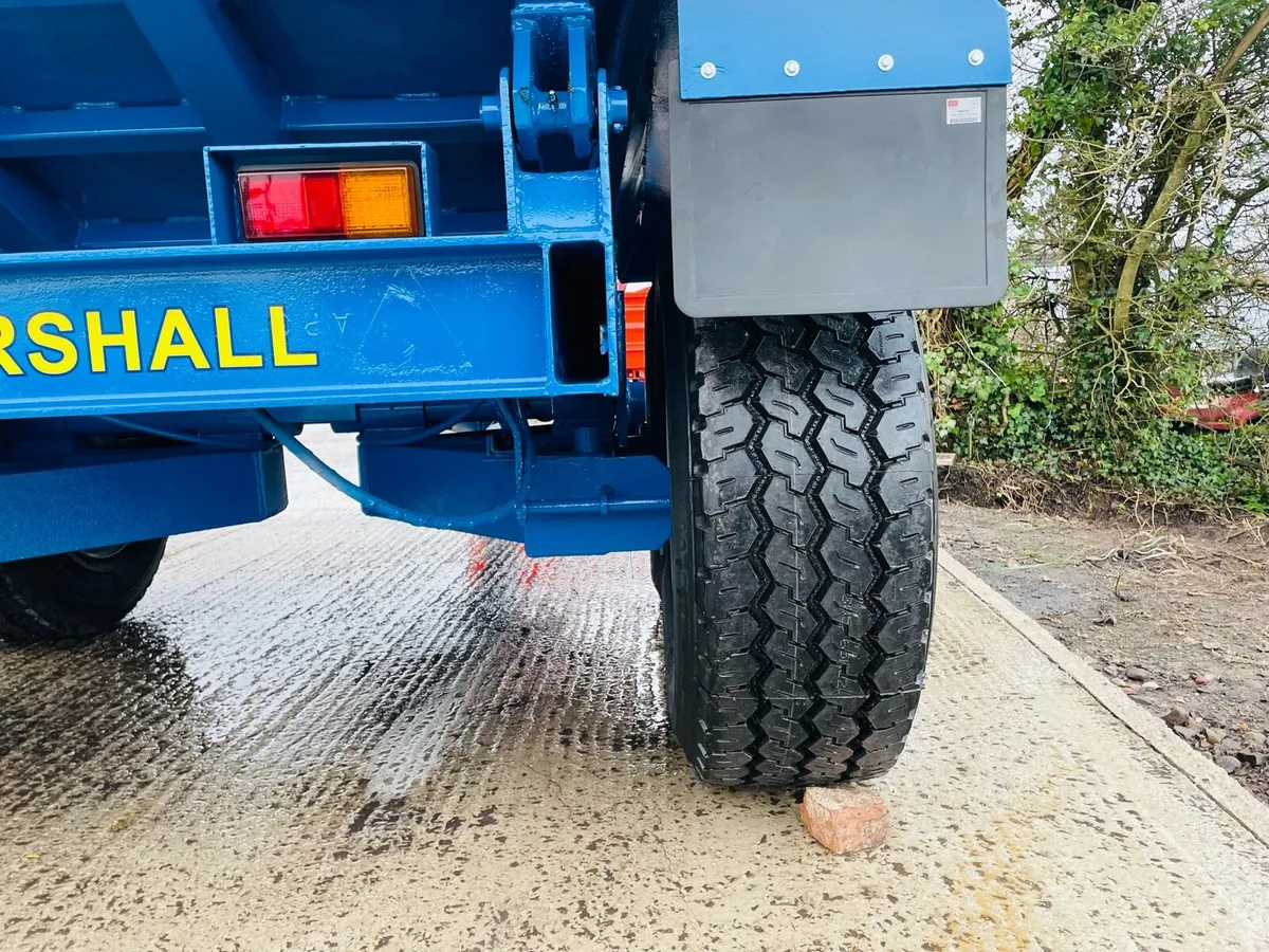 Dump trailer - Image 2