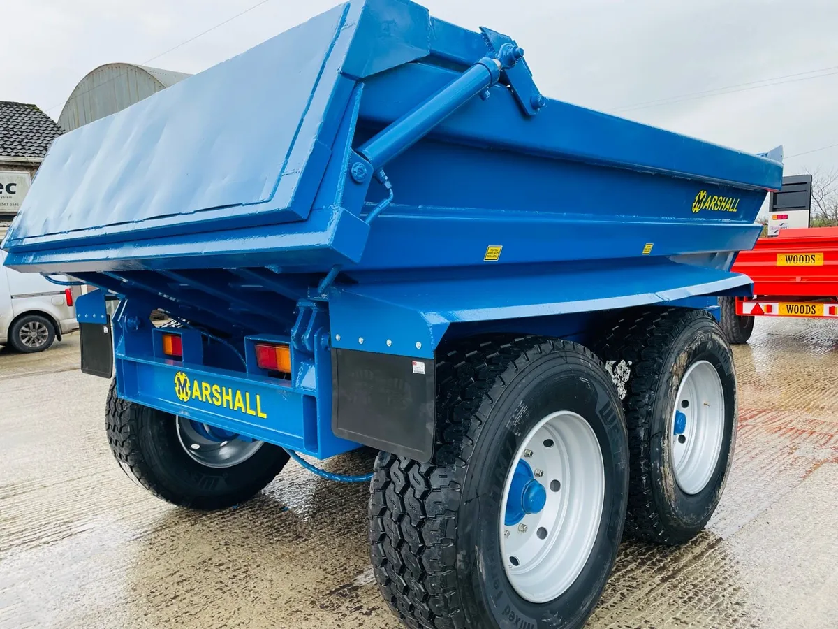 Dump trailer - Image 4