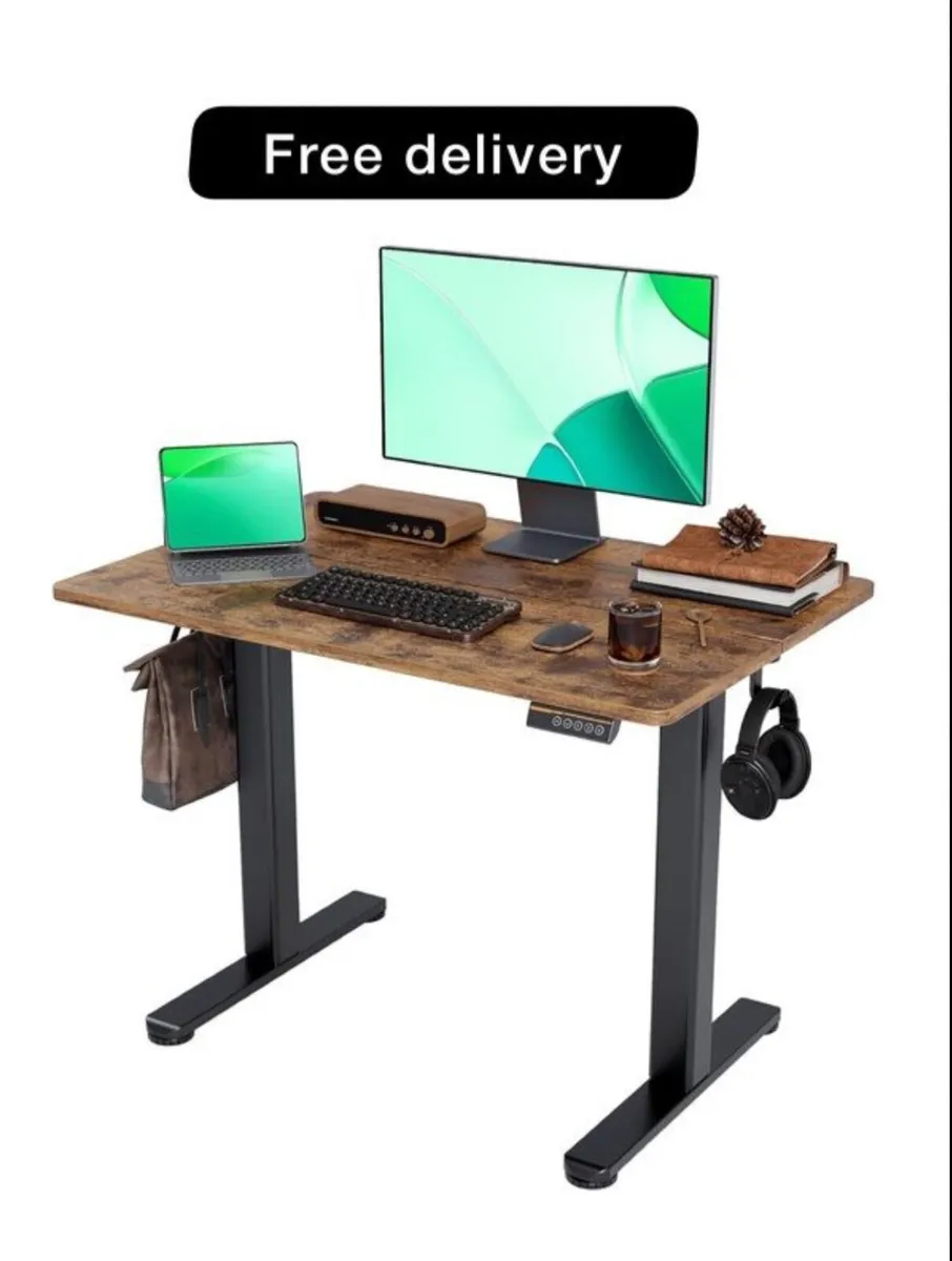 Electric Standing Desk 100x60