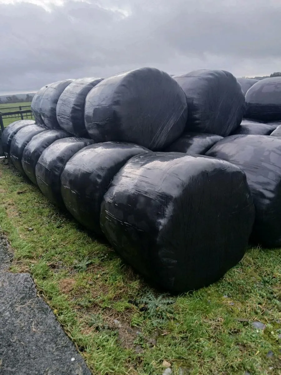 Silage - Image 1