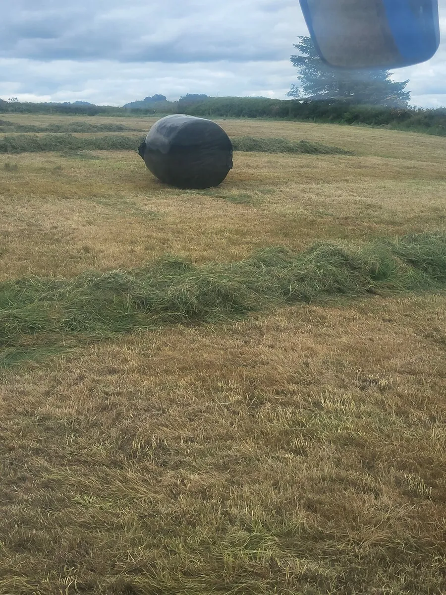 Silage - Image 2