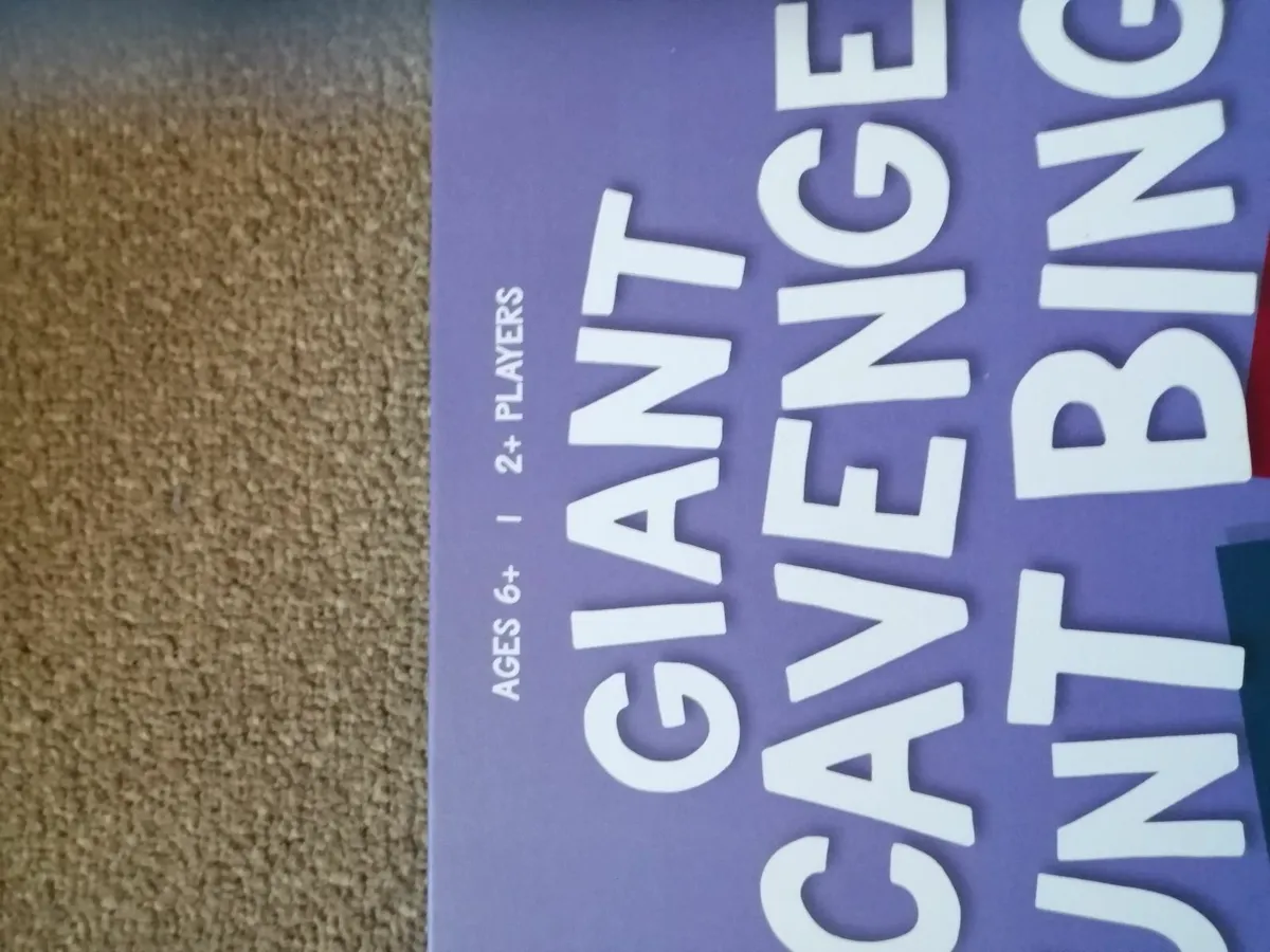 Giant scavenger hunt bingo game - Image 3