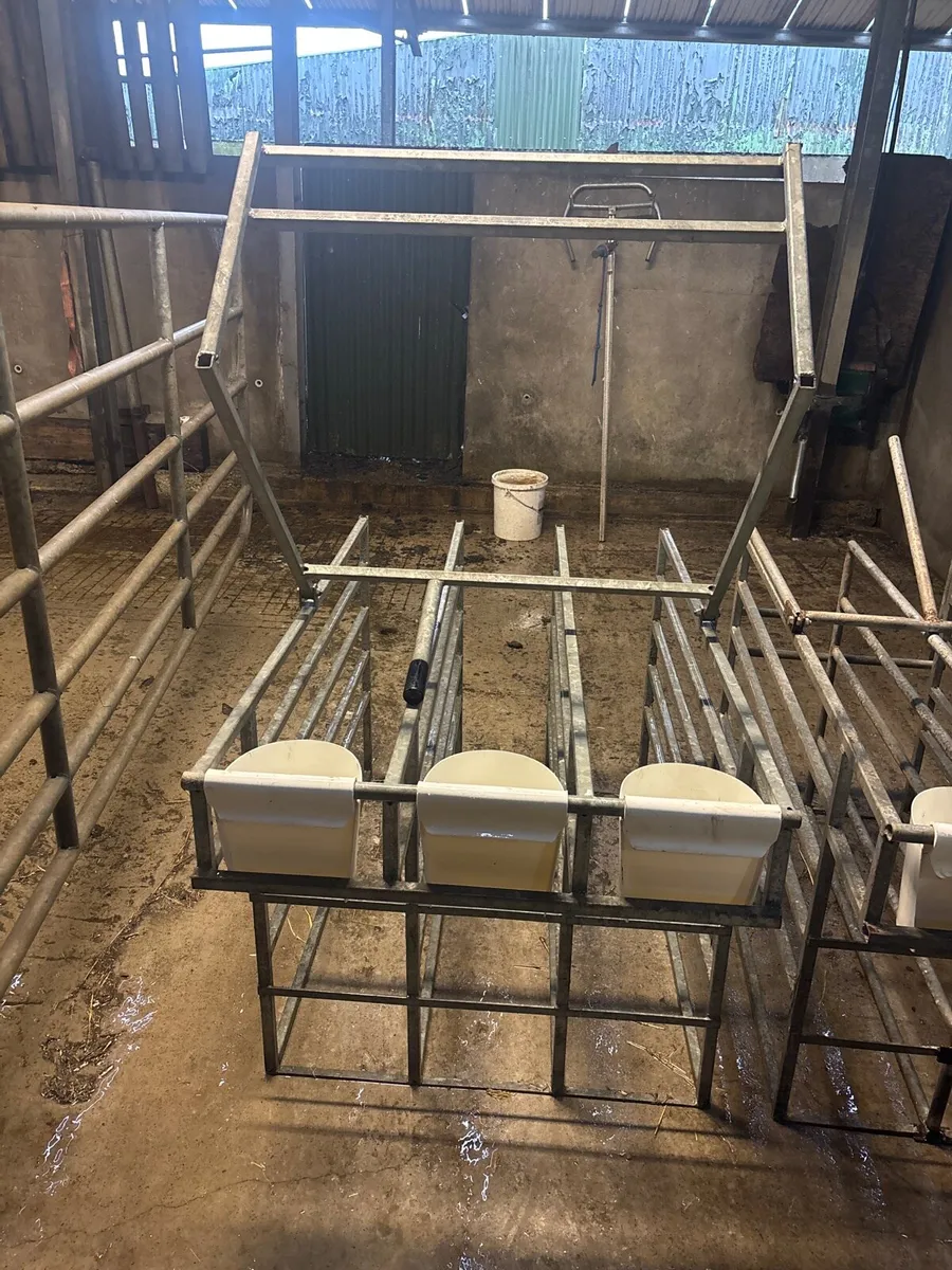 Calf stall feeder - Image 1