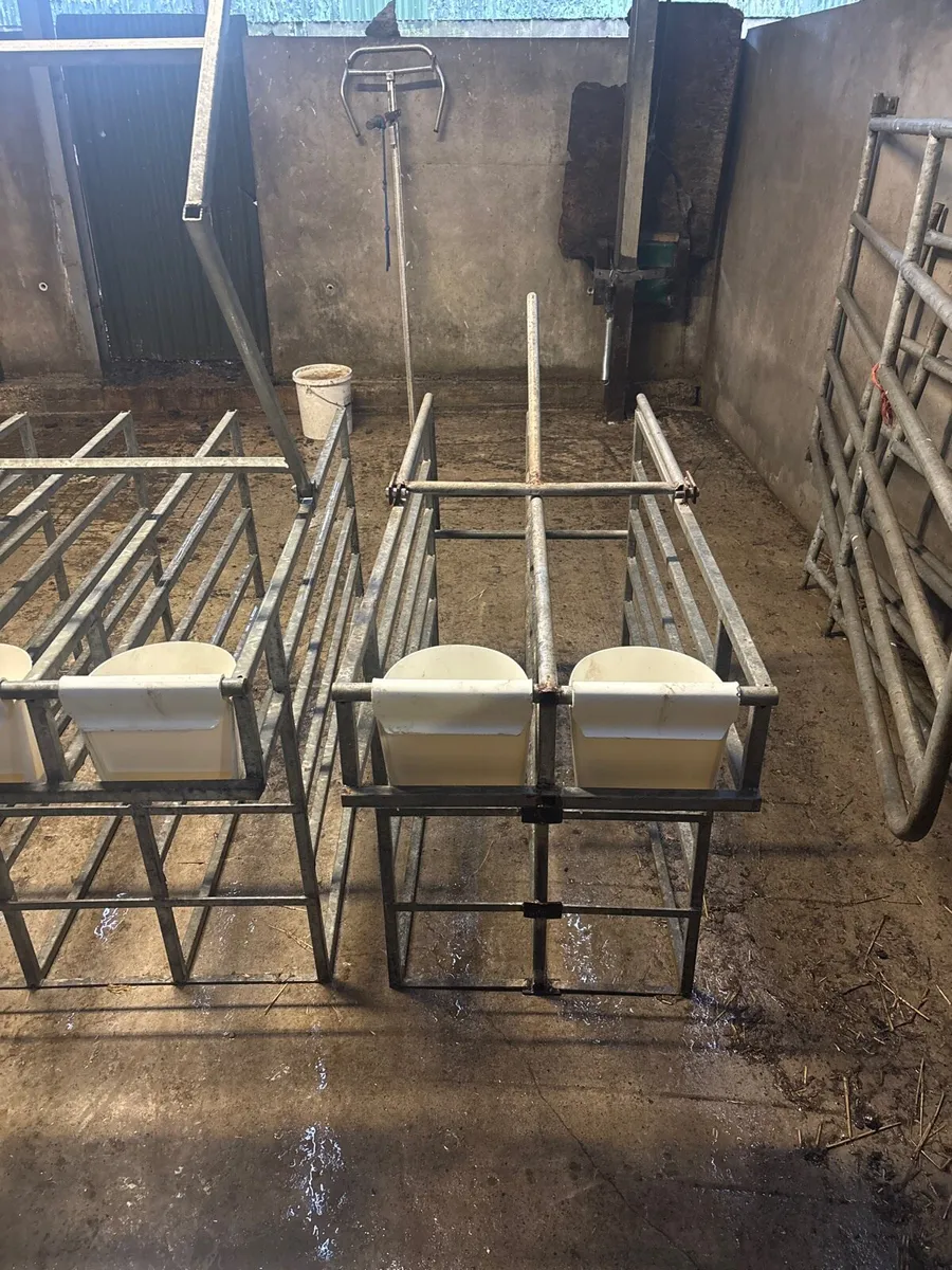 Calf stall feeder - Image 2