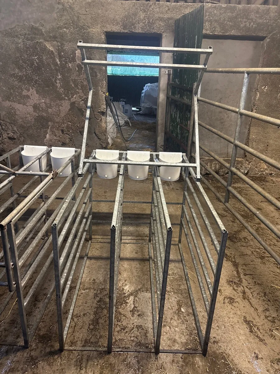 Calf stall feeder - Image 3