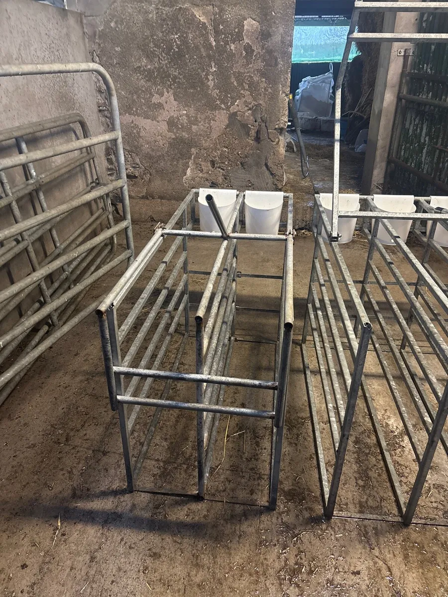 Calf stall feeder - Image 4