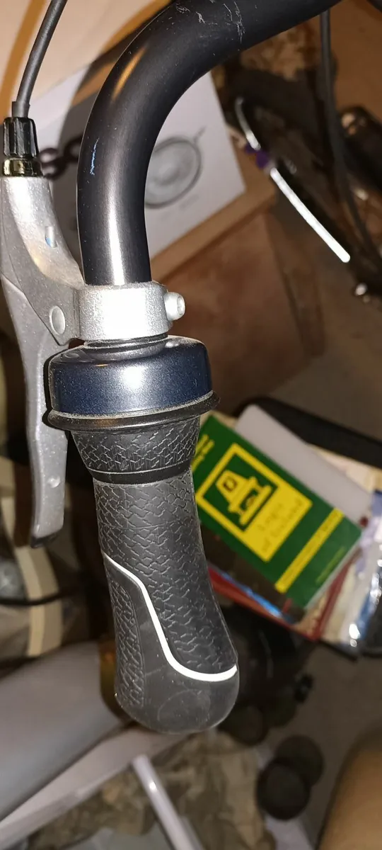 Ladies Dutch Bike - Image 4