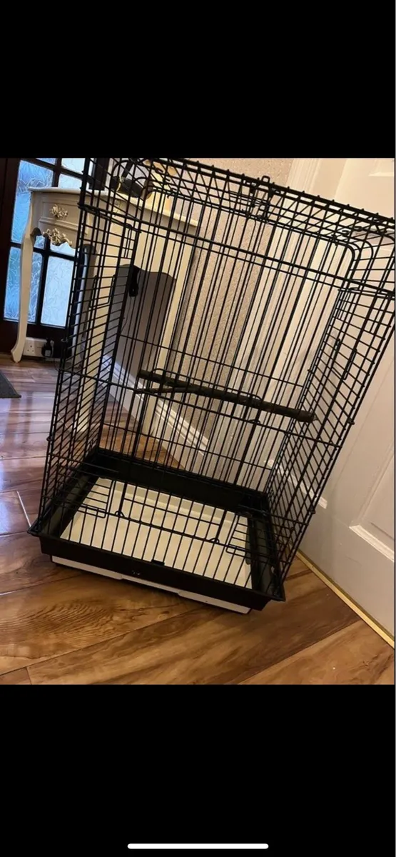 Pair of Cockateils & Cage - Image 4